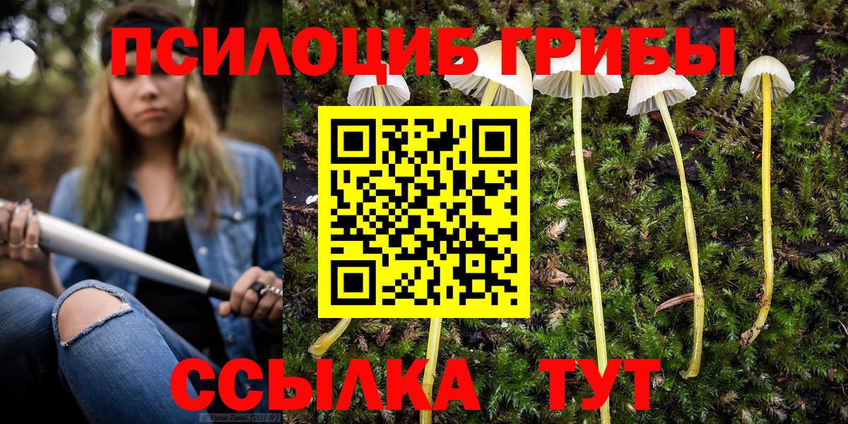 Псилоцибиновые грибы Cubensis  Саров  Галлюциногенные грибы ЛСД 