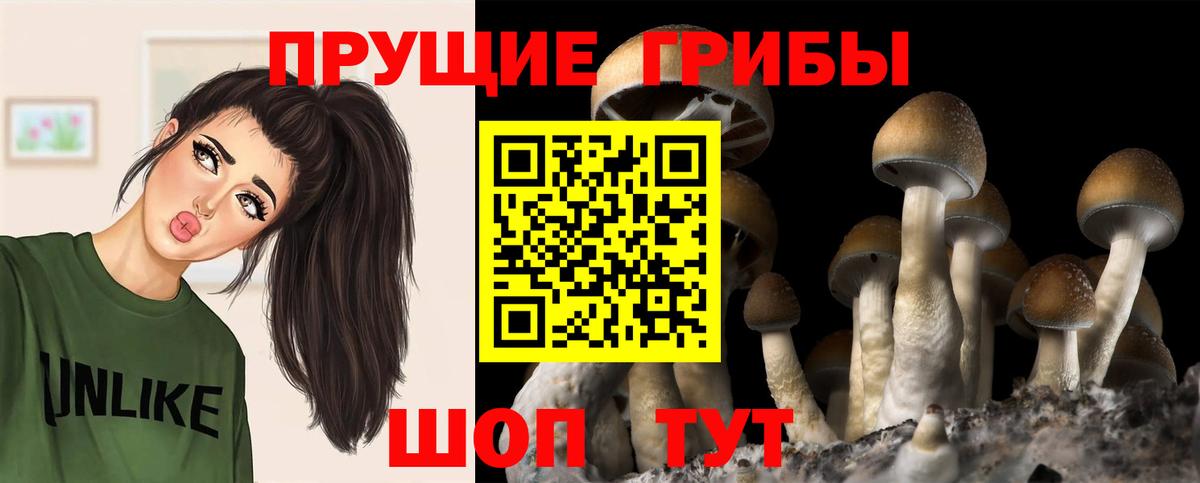 Галлюциногенные грибы ЛСД  купить   Вход с VPN  Саров  Галлюциногенные грибы ЛСД 